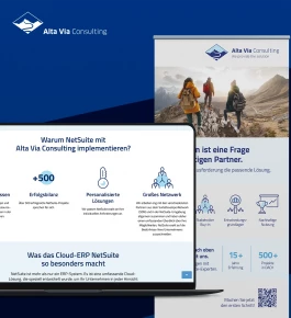 Corporate Design Alta Via Consulting Thumbnail 