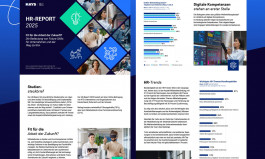 Hays Grafikdesign White Paper Broschüre